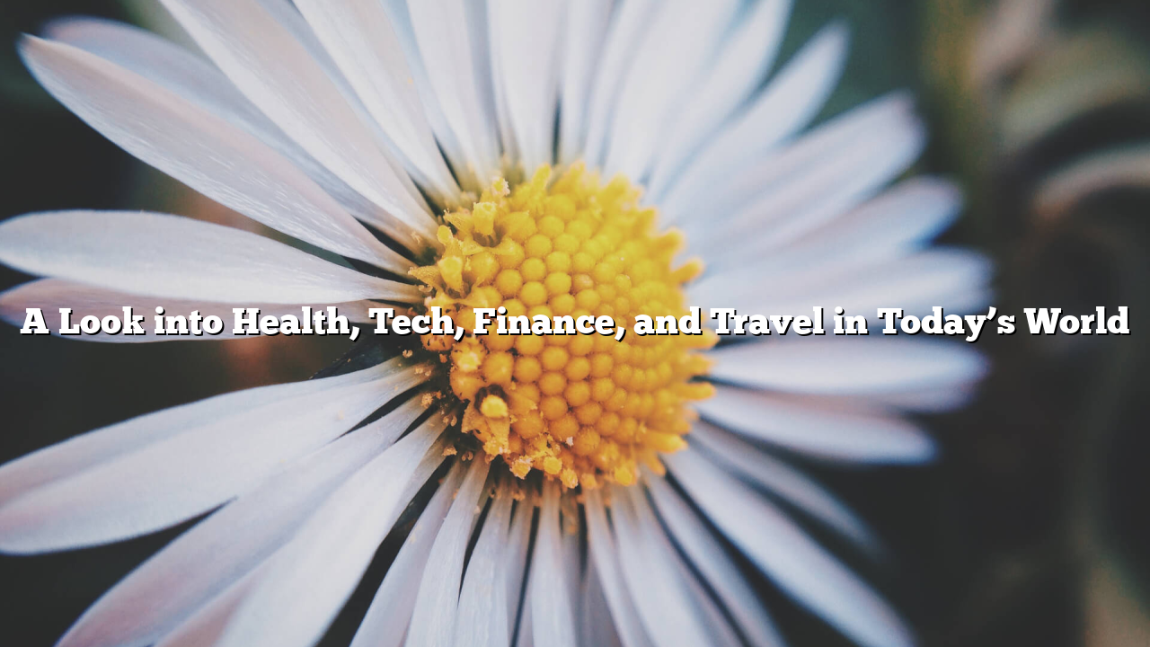 A Look into Health, Tech, Finance, and Travel in Today’s World