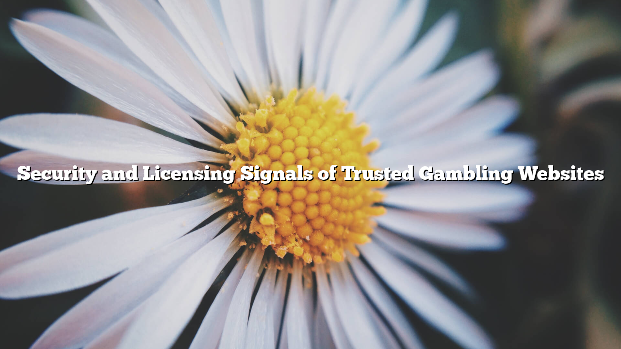 Security and Licensing Signals of Trusted Gambling Websites